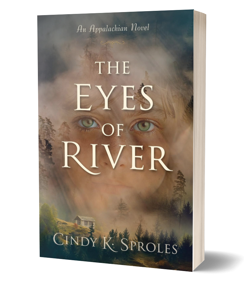 The Eyes of River book cover